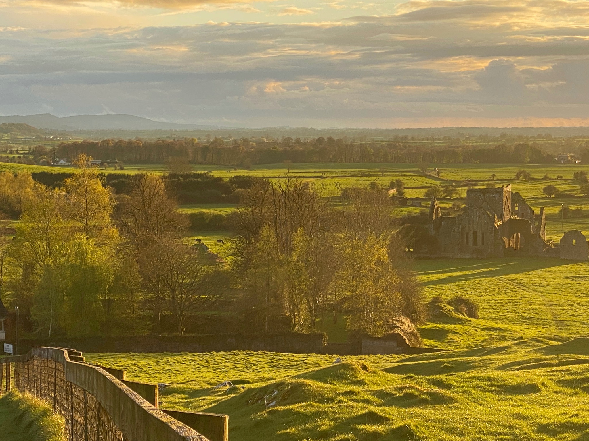 Hore Abbey