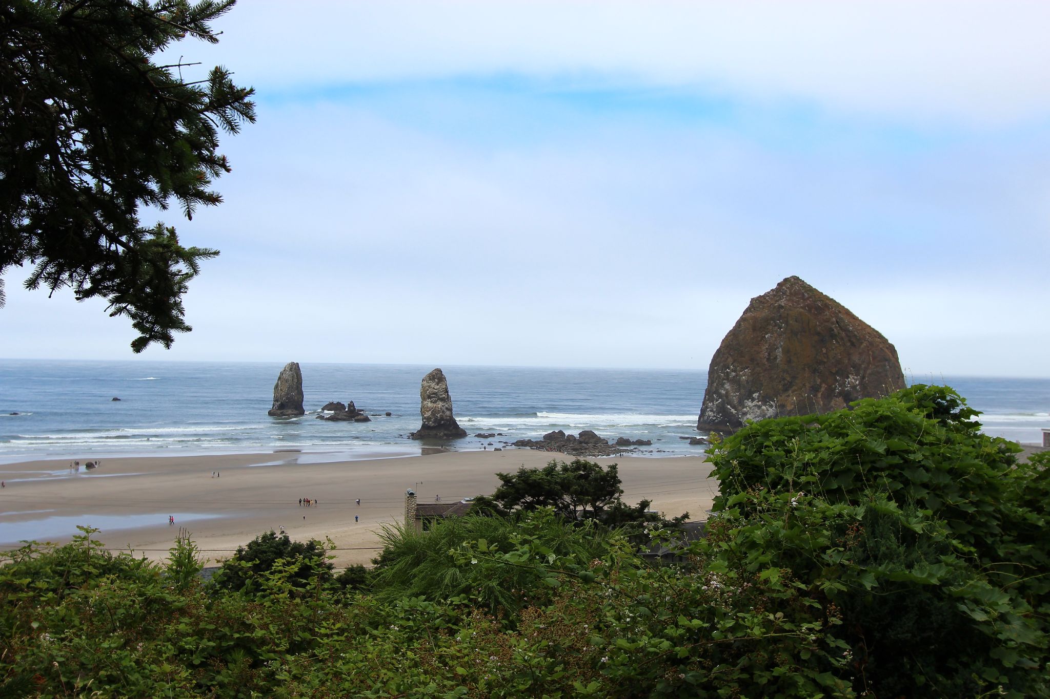 Pacific Coast